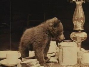 Brownie-bear-nell-shipman