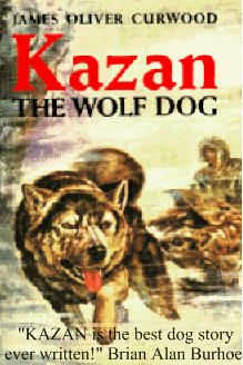 KAZAN_The_Wolf_Dog31