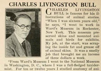 charles livingston-bull-illustrator-bio
