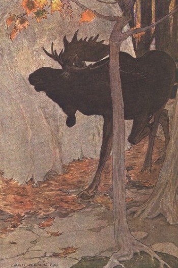 charles-livingston-bull-moose