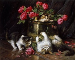 cat-behavior-training2