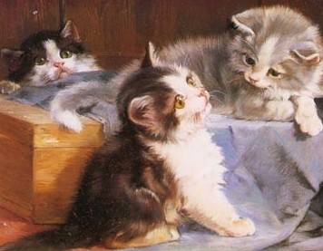 three-kittens-cats-quotes