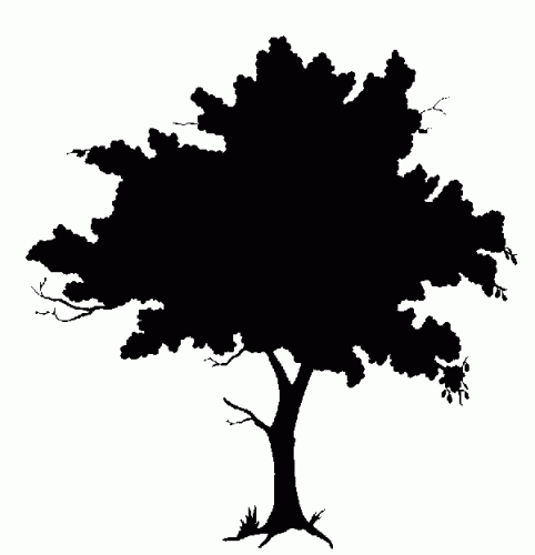Civilized Bears tree-ant-bear-tale
