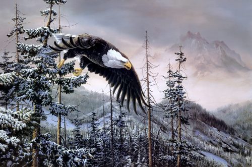 eagle-world-wildlife-conservation-day