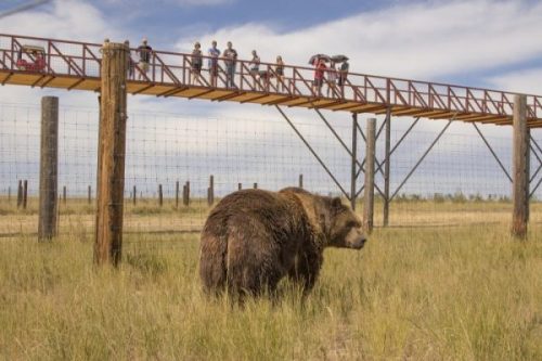 Wildlife Refuge Rescues