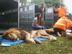 Wildlife Refuge Rescues