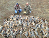 Fur trade Born Free