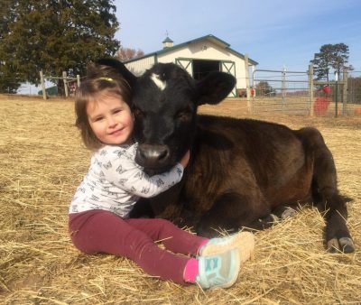 Saving Farm Animals