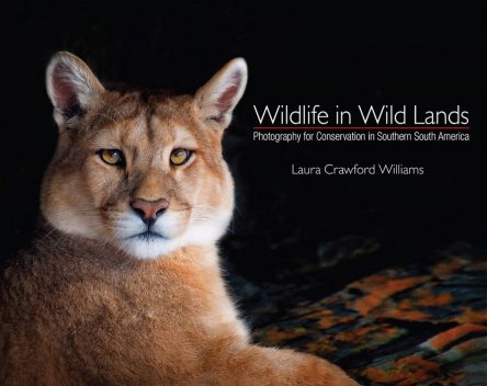 Wildlife Photographer