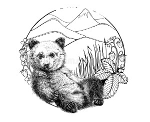 Little Bear Story - Civilized Bears