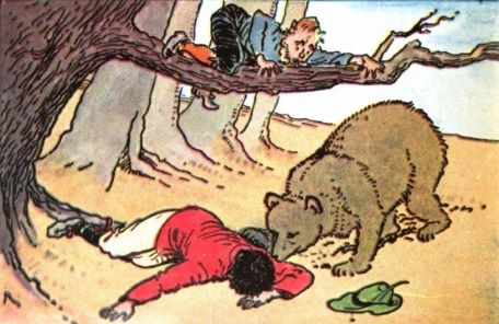 bear and two travellers - bear stories