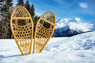 Traditional Snowshoes in Northern Boreal Forest