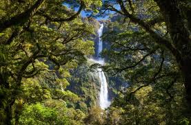 Walk in the Woods and waterfall