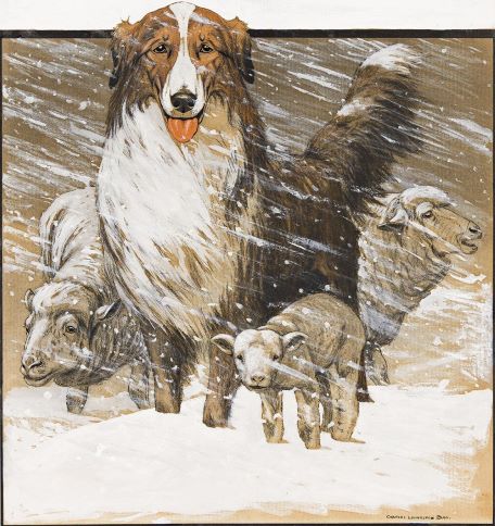 Animal Stories for adults - Dog story illustrated by Charles Livingston Bull